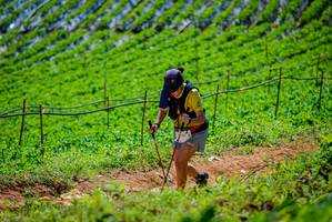 BIB: 
                            <button type="button" onclick="openModal(19164367)" class="btn btn-primary btn-sm float-right btn-popup" data-toggle="modal" data-target=".modal-high-quality">
                        <i class="fas fa-shopping-cart"></i> Add to Cart
                    </button>
                                            <button type="button" onclick="isThisMe(19164367, true)" class="btn btn-success btn-sm float-right btn-popup btn-isme hidden" data-toggle="tooltip" data-placement="bottom" title="นี่คือรูปของคุณใช่ไหม คลิกที่นี่เพื่อเอาเข้าอัลบั้ม">
                        <i class="fas fa-plus"></i> Add to album
                    </button>
                    <button type="button" onclick="isThisMe(19164367, false)" class="btn btn-warning btn-sm float-right btn-popup btn-isnotme hidden">
                        <i class="fas fa-ban"></i> Remove from album
                    </button>